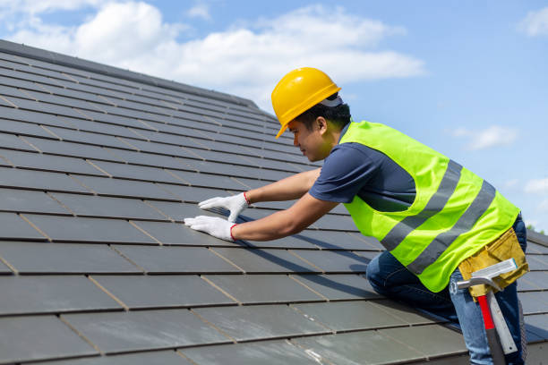 Best Local Roofing Companies  in Nes, IL