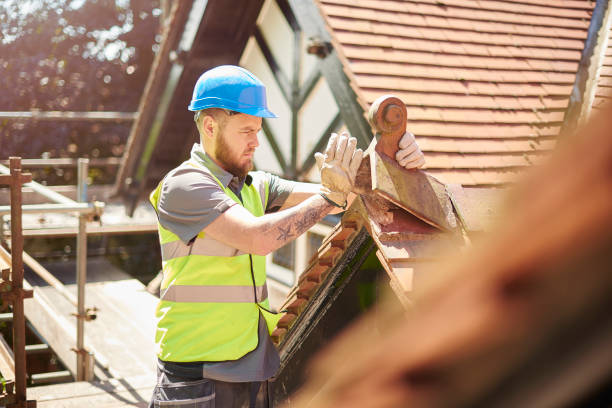 Best Storm Damage Roof Repair  in Nes, IL