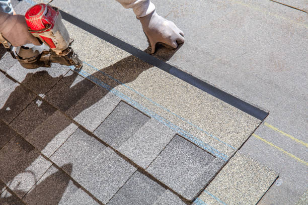 Best Shingle Roofing Installation  in Nes, IL
