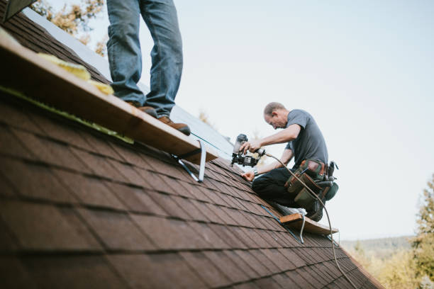 Quick and Trustworthy Emergency Roof Repair Services in Niles, IL